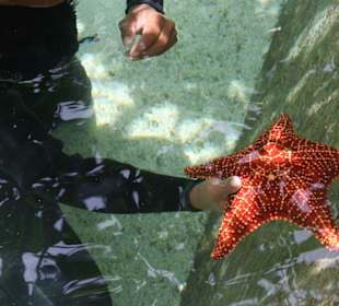 Natur- und Erlebnispark Xcaret