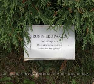 Das beschriebene Schild zur Bruninieku Parade