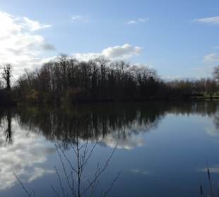 Monrepos