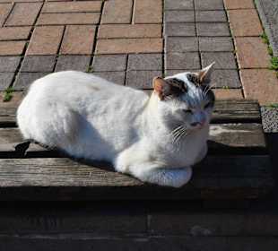 Набережная в Ортакёй