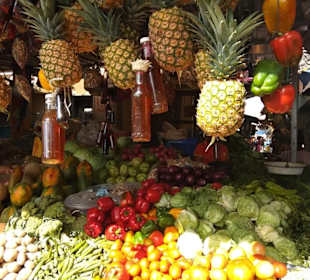 Stadtrundfahrt Bavaro