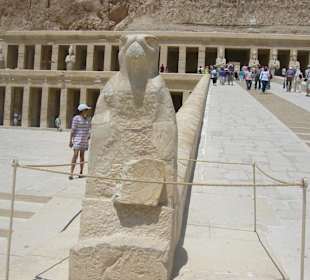 Besuch des Tempel von Hasepsut