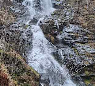 Wandern Todtnauberg