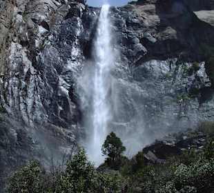 Parco Nazionale di Yosemite 
