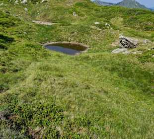 Kleines Gewässer am Rossfeld