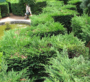 Зеленый лабиринт))