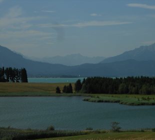 Forggensee