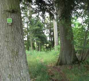 Premiumwanderweg "hochgehackert"