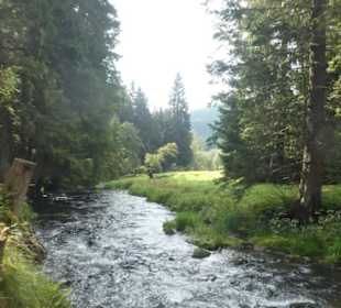 Wunderbare Wanderung am Großen Regen