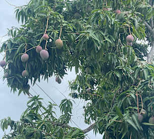 Ausflug nach Holguin