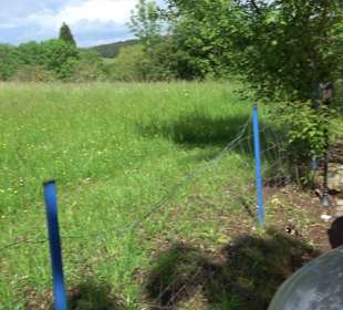 Vital und Wellnesshotel Albblick