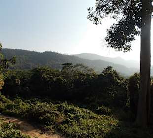 Elefantencamp Chiang Mai