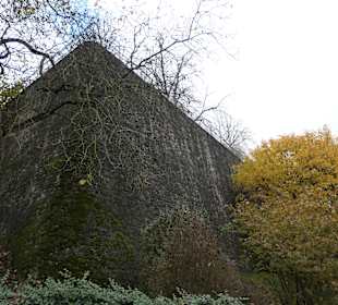 Bei einem Spaziergang im Würzburger Luitpoldgraben