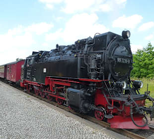 Mit dem Dampfzug in die Natur