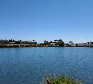 Ausgrabungen Karthago