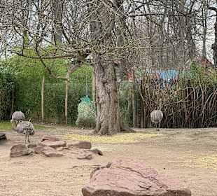 Zoo Leipzig 