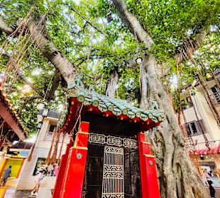 Stadtbesichtigung Honolulu