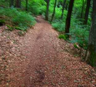 Fußweg normal nach unten