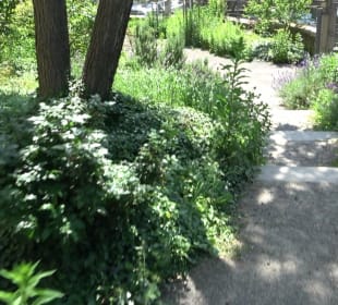 Friedenskirche (Handschuhsheim)