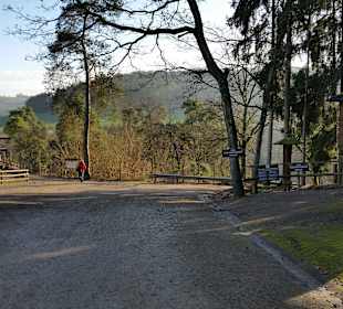 Im Park