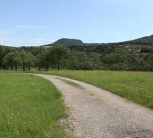 Premiumspazierweg Früchtetrauf-Leisawegle