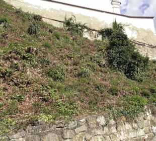 Filialkirche St. Georg