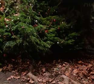 Fredenbaumpark Mittelalterlicher Weihnachtsmarkt