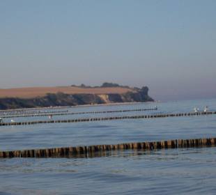 Im Hintergrund die Steilküste 