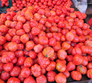 Impressionen vom Wochenmarkt Saint-Cyprien-Plage