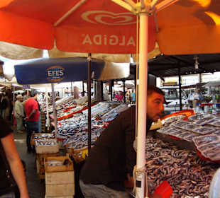 Frischer Fisch