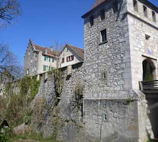 Schloss Laufen am Rheinfall