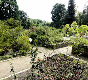 Rundgang durch den Botanischen Garten Oldenburg