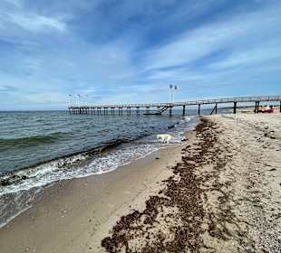 Strand Wangels (Weissenhäuser Strand)
