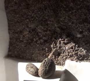 Museo Lagomar