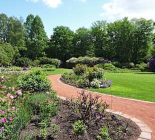 Sommeranfang im Schlossgarten Oldenburg