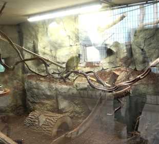 Zoologischer Stadtgarten