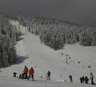 Rennstrecke unter der Seilbahn (schwarze Piste)