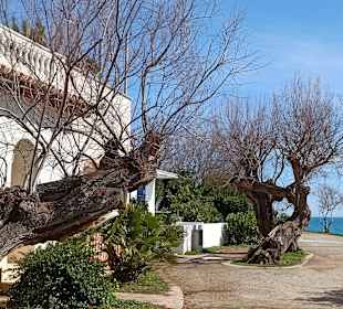 Wandern Cala Ratjada