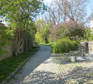 Bummel durch die östliche Allee