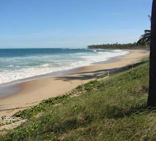 Strand nach Praia do Forte