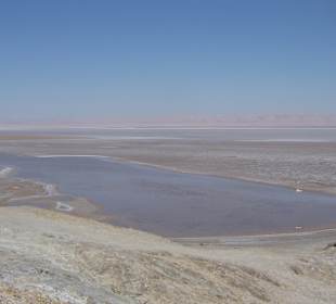 Salzwüste-Chott-El-Jerid