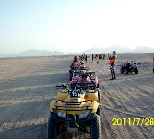 Safari Quad Tour