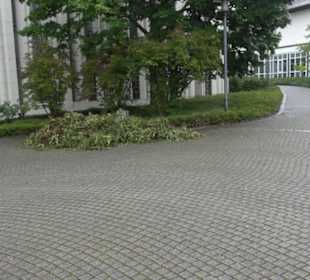 Krönungskirche Ergenzingen