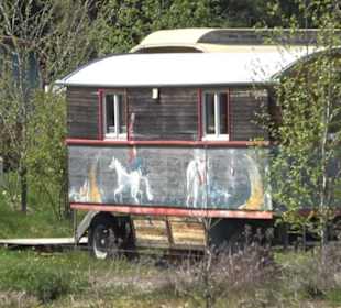 Streuobstwiesen der Hopfenburg