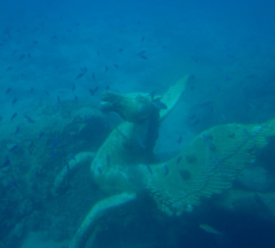 Die vesenkten Teile zur "Verschönerung"