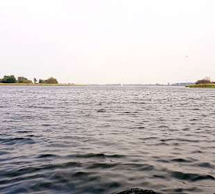 Apollo Tagestour zur Greifswalder Oie 