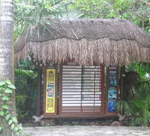 Xcaret