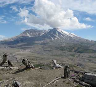 Timberland Inn & Suites beim Mt. St. Helens