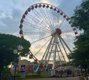The Wheel of Venice