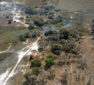 Okawango Delta